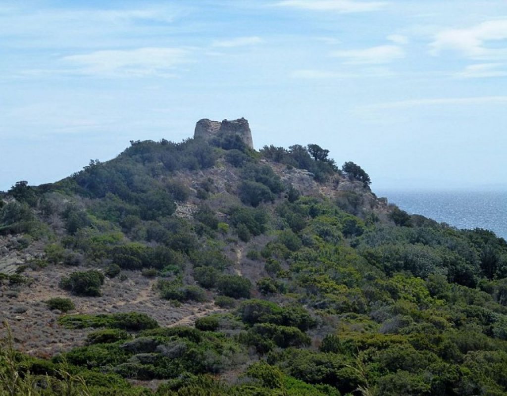 Tour génoise de Sponsaglia Rondinara à Bonifacio